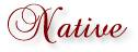 native.jpg - 1920 Bytes
